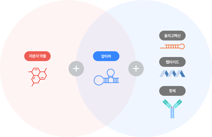 압타머 복합체 이미지